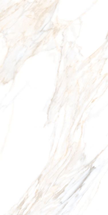 Aurum Calacatta Polished 24 x 48